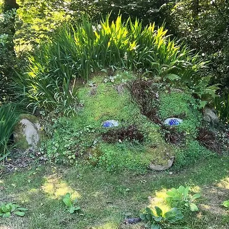 The Hive Apartment St Austell